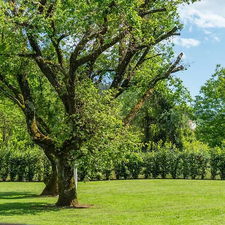 Villa Vittoria - Lusso Con Piscina, Tennis, Jacuzzi E Palestra Lucca